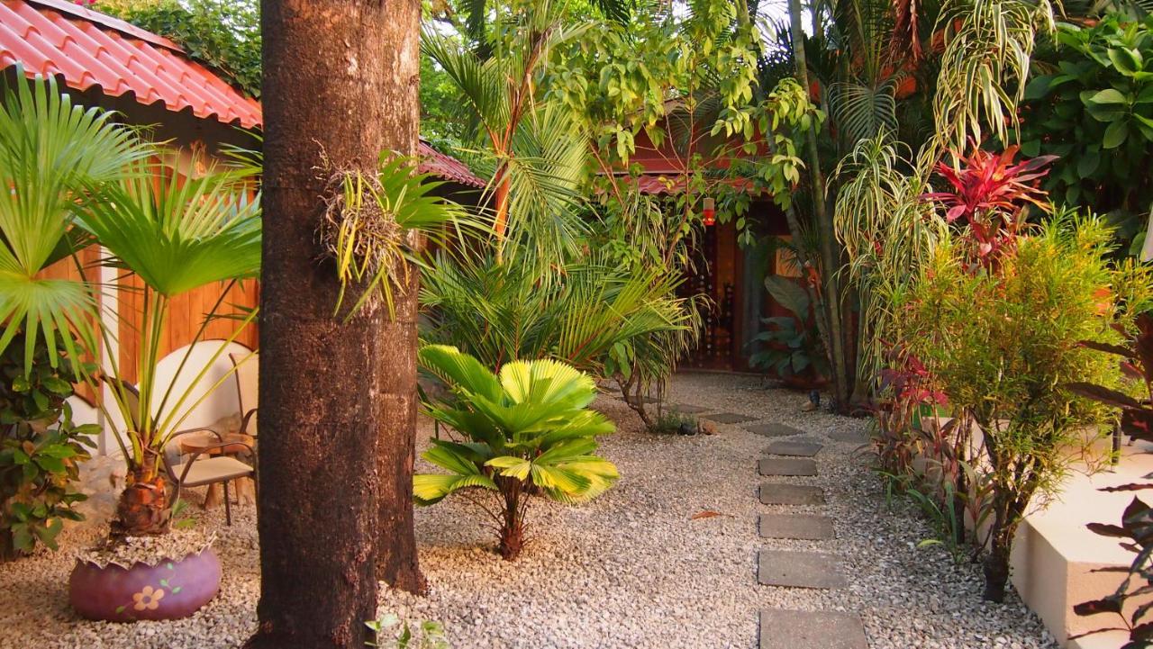 Samara Palm Lodge Exterior foto